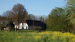 uitzicht op de boerderij van B&B 't Kraaijenest met rechts de hooiberg en links de boerderij en bloeiend koolzaad in de voorgrond in Midden-Delfland