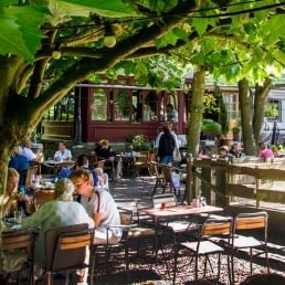 terras van Café du Midi onder de platanen op een zonnige dag in Delfgauw