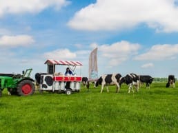 traktor met melkbussen met melk en koeien in het polder landschap van Midden-Delfland