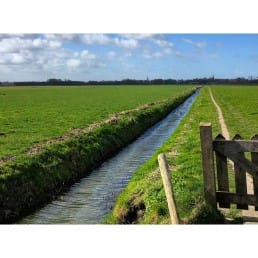 polderlandschap weiland met sloot en hek op een zonnige dag in Midden-Delfland