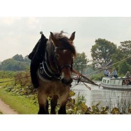 trekschuit trekvaart Midden-Delfland man met paard op trekpad die oude schuit met passagiers voortrekt testvaart