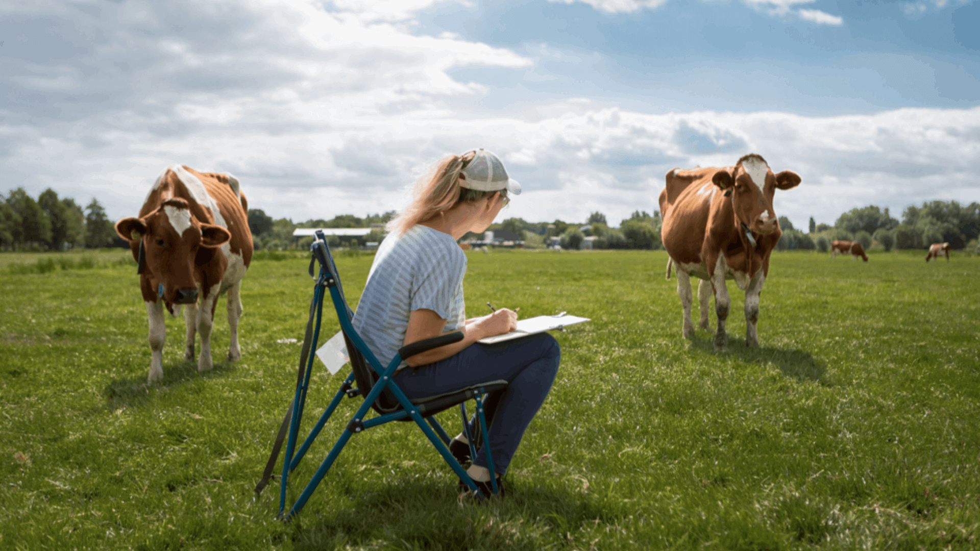 Workshop koeien tekenen in het weiland