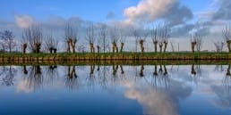 vaart met kale knotwilgen en blauwe lucht met witte wolken en reflectie in de wolken in Midden-Delfland
