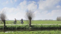 fietsers fiets wilgen weiland lente voorjaar fietsroute polder midden-delfland