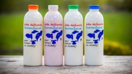 delflandshof flessen zuivel boerenlandzuivel hoeve bouwlust melk karnemelk yoghurt vla