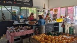 Boeregoed streekproducten streekmarkt lokaal groenten fruit ambachtelijk naaldwijk winkel
