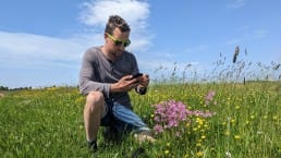 Boer Roel van Buuren uit Midden-Delfland in zijn grasland met weidevogels en paarse en gele bloemen