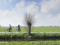 fietsers fiets wilgen weiland lente voorjaar fietsroute polder midden-delfland