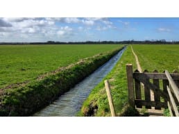 polderlandschap weiland met sloot en hek op een zonnige dag in Midden-Delfland