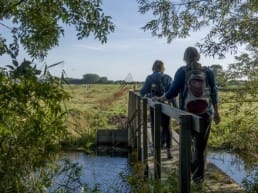 wandelaars in midden-delfland polder bruggetje
