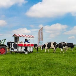traktor met melkbussen met melk en koeien in het polder landschap van Midden-Delfland