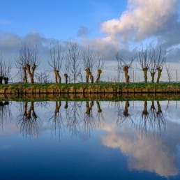 vaart met kale knotwilgen en blauwe lucht met witte wolken en reflectie in de wolken in Midden-Delfland